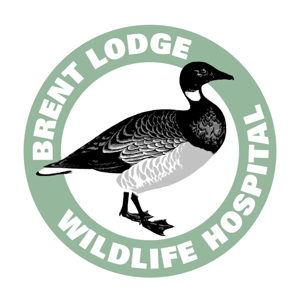 brent lodge - Sponsorships - Viking Extrusions Brent Lodge Wildlife Hospital logo